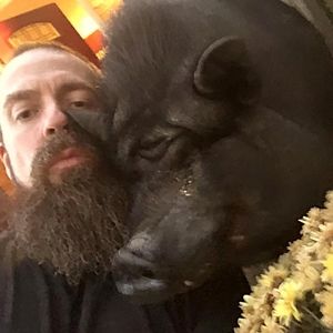 Meet your Posher, Nik